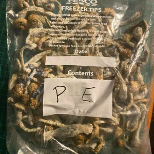 Penis Envy Mushrooms